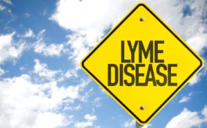 does Medicare cover Lyme disease treatment